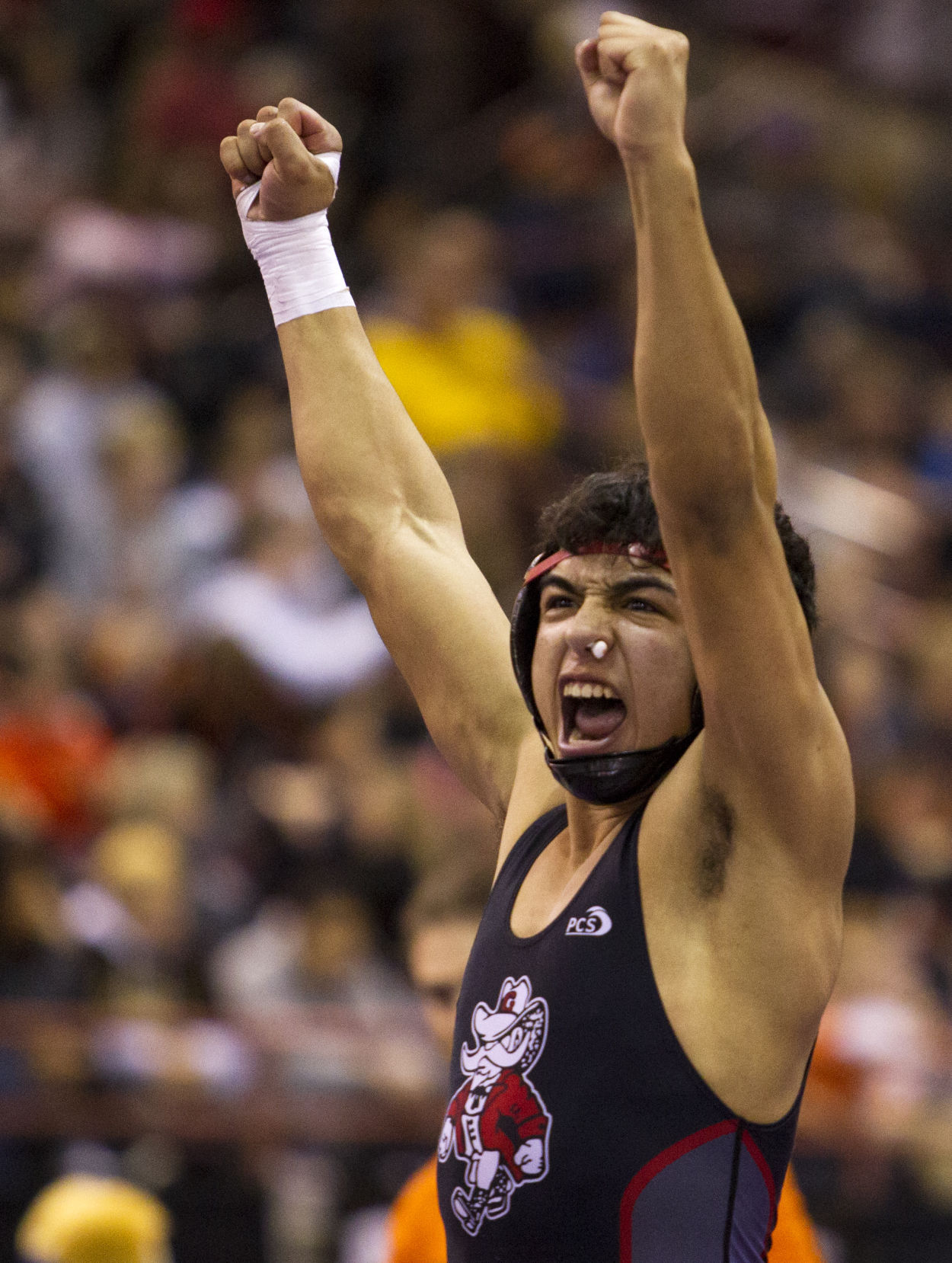 IHSAA State Wrestling Championships
